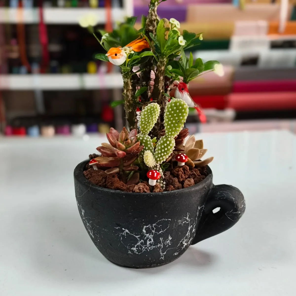 Siyah Fincanda Mini Kaktüs Bahçesi