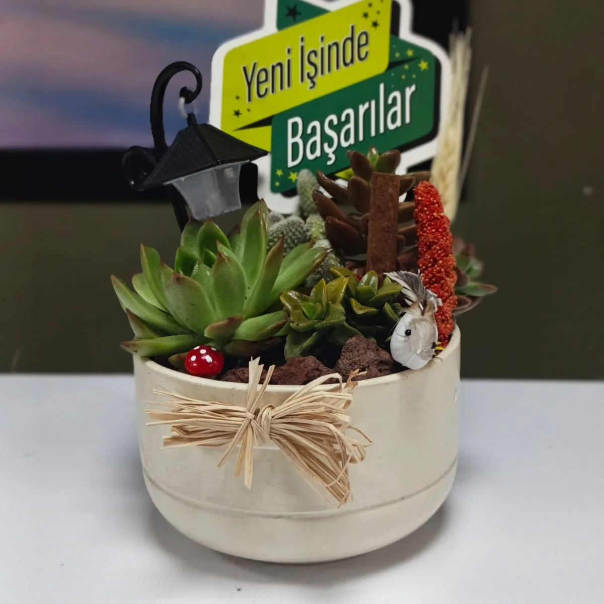 Yeni İşinde Başarılar Sukulent Aranjmanı